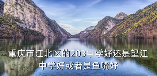 重慶市江北區(qū)的203中學(xué)好還是望江中學(xué)好或者是魚嘴好