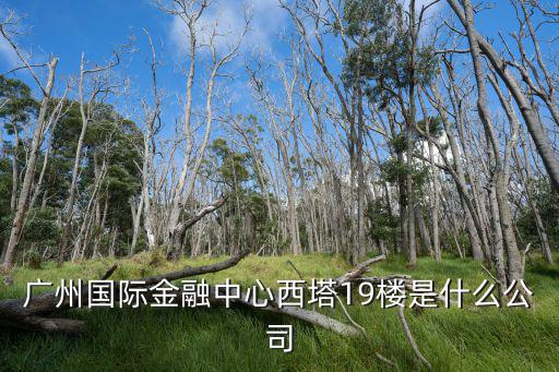 廣州西塔寫(xiě)字樓租金，廣州國(guó)際金融中心西塔19樓是什么公司