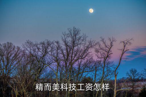 精而美科技工資怎樣