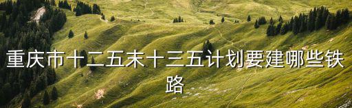 重慶市政府十三五規劃綱要，重慶市城市規劃管理技術規定的介紹
