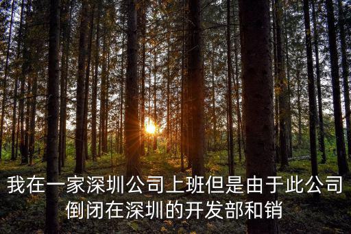 我在一家深圳公司上班但是由于此公司倒閉在深圳的開發部和銷