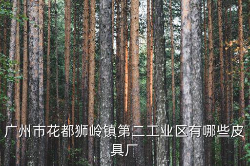 廣州威騰皮具，發(fā)源于廣州花都的品牌皮具都有那些