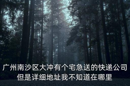 廣州南沙區大沖有個宅急送的快遞公司但是詳細地址我不知道在哪里