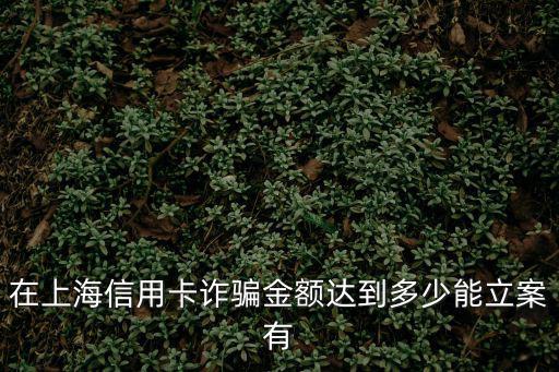 在上海信用卡詐騙金額達到多少能立案有