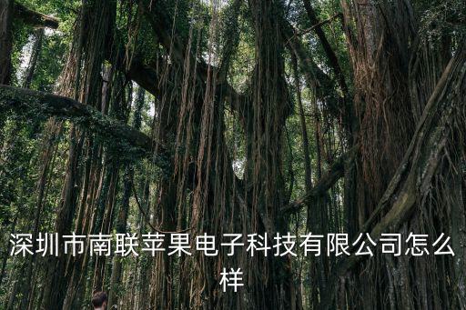 深圳市南聯蘋果電子科技有限公司怎么樣