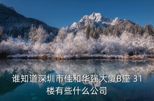 誰知道深圳市佳和華強大廈B座 31樓有些什么公司