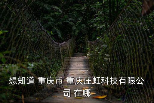 重慶市在爾科技，想知道 重慶市 重慶莊虹科技有限公司 在哪