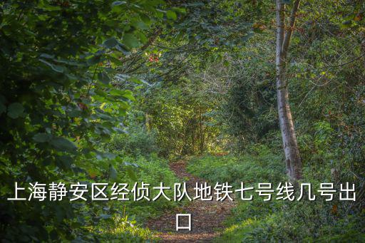上海靜安區經偵大隊地鐵七號線幾號出口