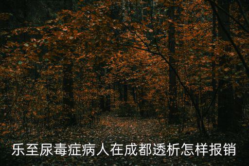 樂(lè)至尿毒癥病人在成都透析怎樣報(bào)銷(xiāo)