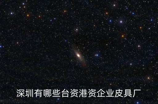 深圳有哪些臺資港資企業(yè)皮具廠