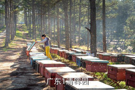 廣東1清暉園