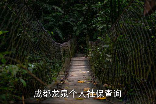 成都龍泉個人社保查詢