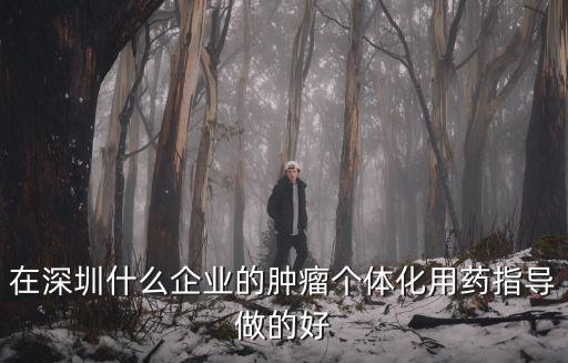 在深圳什么企業(yè)的腫瘤個(gè)體化用藥指導(dǎo)做的好