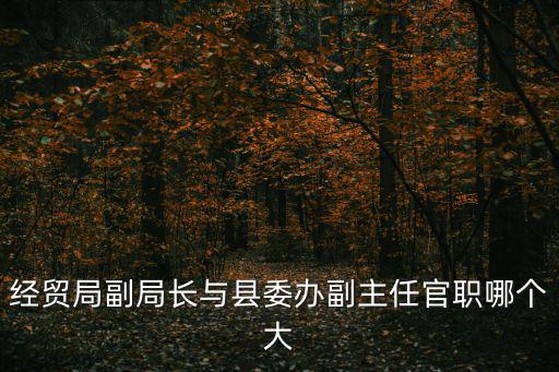 經貿局副局長與縣委辦副主任官職哪個大