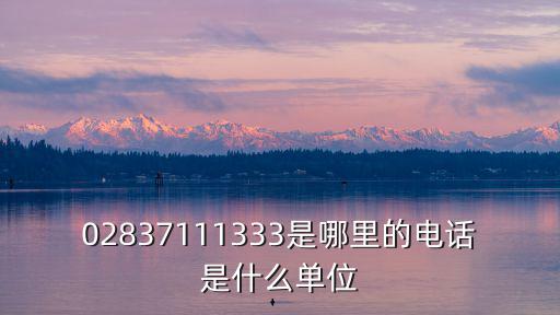 02837111333是哪里的電話是什么單位