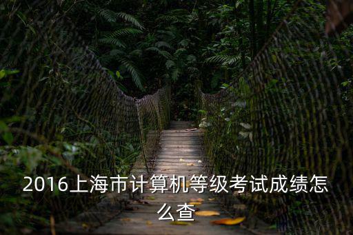 2016上海市計算機等級考試成績怎么查