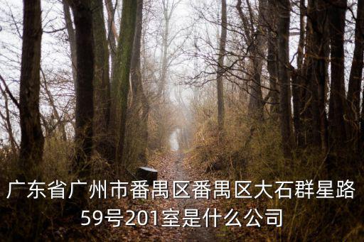 廣東省廣州市番禺區(qū)番禺區(qū)大石群星路59號201室是什么公司