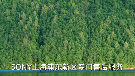 SONY上海浦東新區專門售后服務