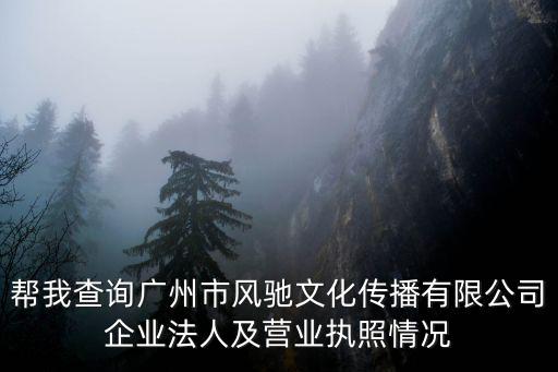 幫我查詢廣州市風馳文化傳播有限公司企業法人及營業執照情況