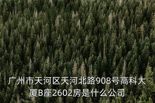 廣州市天河區(qū)天河北路908號高科大廈B座2602房是什么公司