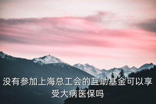 沒有參加上海總工會的互助基金可以享受大病醫保嗎