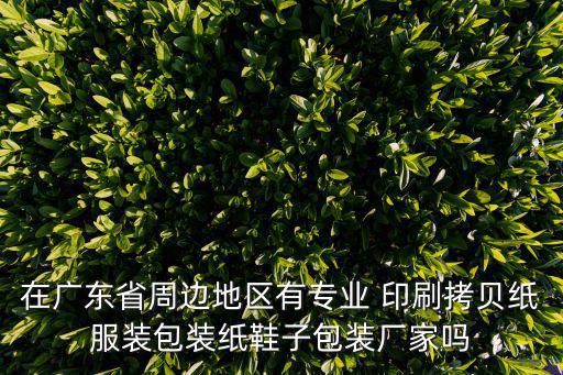 在廣東省周邊地區(qū)有專業(yè) 印刷拷貝紙服裝包裝紙鞋子包裝廠家嗎