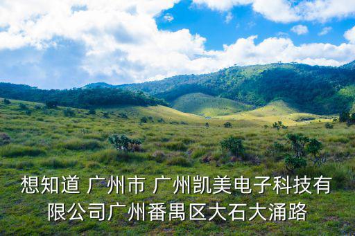 想知道 廣州市 廣州凱美電子科技有限公司廣州番禺區(qū)大石大涌路