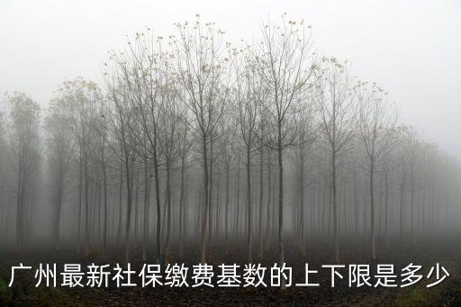 廣州最新社保繳費基數的上下限是多少
