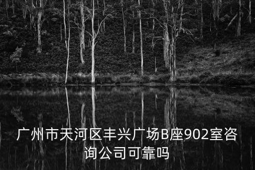 廣州市天河區豐興廣場B座902室咨詢公司可靠嗎