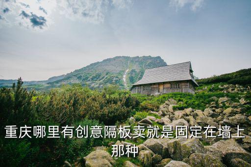 重慶哪里有創意隔板賣就是固定在墻上那種