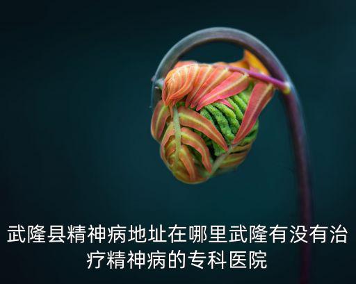 武隆縣精神病地址在哪里武隆有沒有治療精神病的專科醫(yī)院