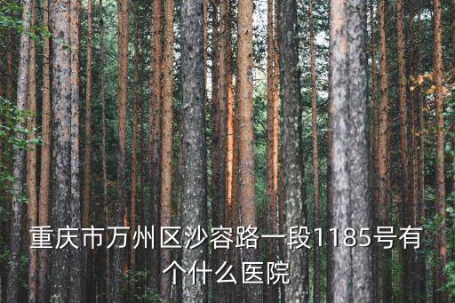 重慶市萬州區(qū)沙容路一段1185號有個(gè)什么醫(yī)院
