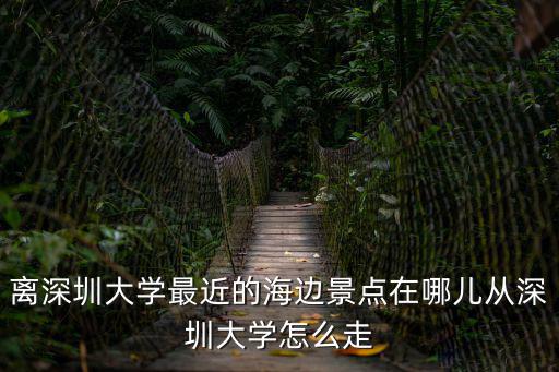 深圳大學周邊景點，深圳大學的美景