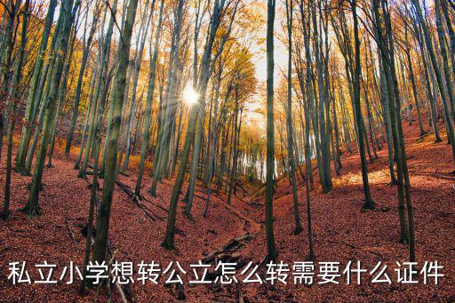 私立小學想轉公立怎么轉需要什么證件