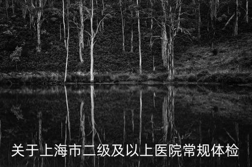 上海市級醫院標準，二級甲等醫院是上海市市級以上醫院嗎