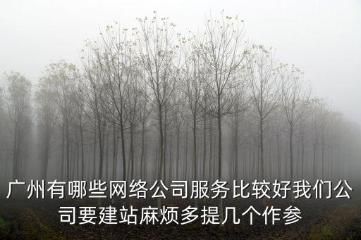 廣州有哪些網絡公司服務比較好我們公司要建站麻煩多提幾個作參