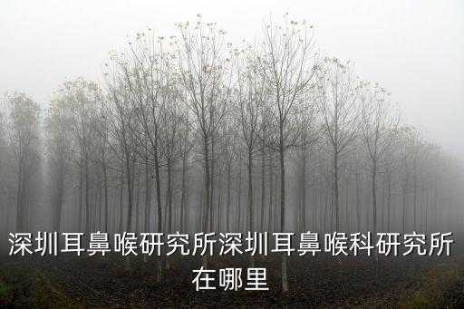 深圳耳鼻喉研究所深圳耳鼻喉科研究所在哪里