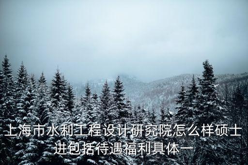 上海市水利工程設計研究院怎么樣碩士進包括待遇福利具體一