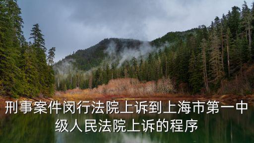 刑事案件閔行法院上訴到上海市第一中級人民法院上訴的程序