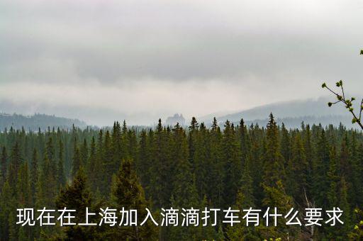 現在在上海加入滴滴打車有什么要求