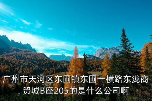 廣州市隆士寶貿易有限公司，廣州市天河區東圃鎮東圃一橫路東瀧商貿城B座205的是什么公司啊