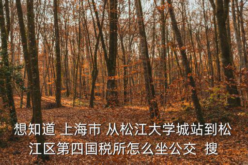 想知道 上海市 從松江大學城站到松江區第四國稅所怎么坐公交  搜