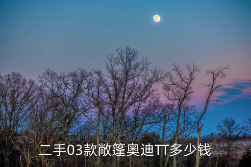 東莞二手敞篷跑車，二手03款敞篷奧迪TT多少錢