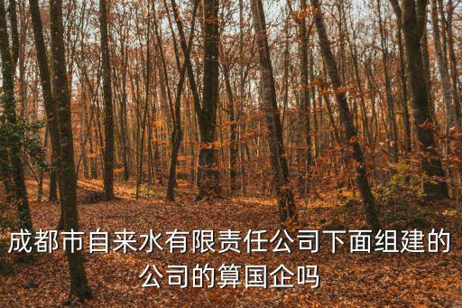 成都市自來水有限責(zé)任公司下面組建的公司的算國企嗎