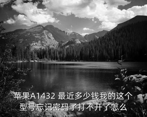 蘋果A1432 最近多少錢我的這個型號忘記密碼了打不開了怎么
