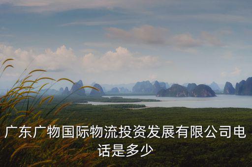 廣東廣物國際物流投資發展有限公司電話是多少
