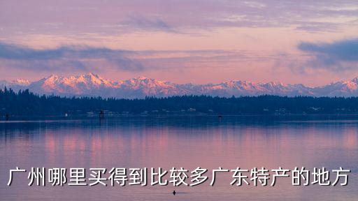 廣州哪里買得到比較多廣東特產的地方