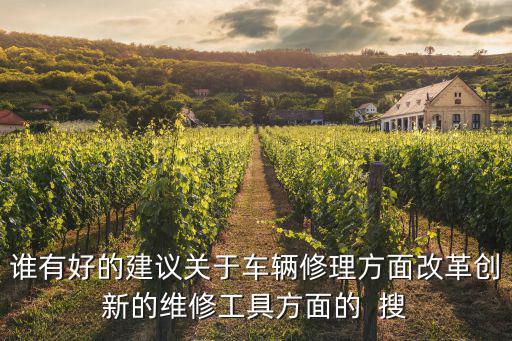 誰有好的建議關于車輛修理方面改革創新的維修工具方面的  搜