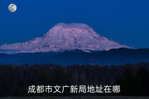 成都市文廣新局地址在哪