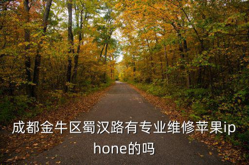 成都金牛區蜀漢路有專業維修蘋果iphone的嗎